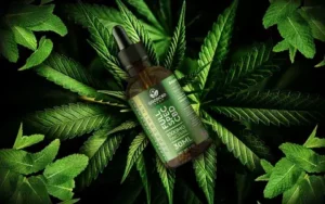 The Significance of Positive Customer Reviews for a CBD Brand